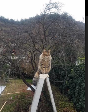 西甲国家德比之外的欧洲狂想曲，曼城补时绝杀马赛，欧冠舞台再现经典