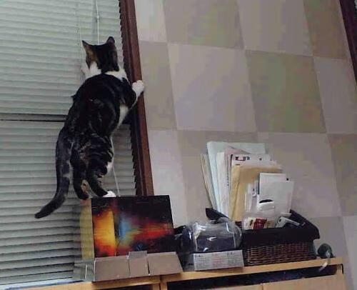 抢七之夜，浓眉铁闸锁死对手，湖人逆境突围