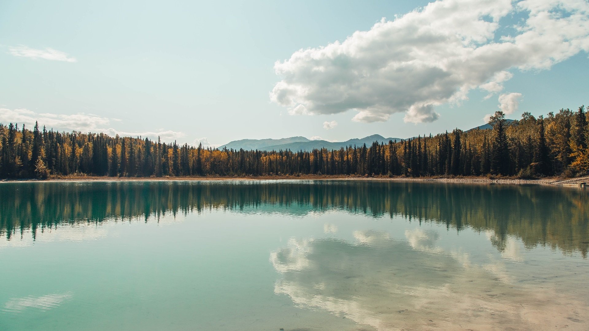 死神降临!杜兰特抢七之夜献制胜一击