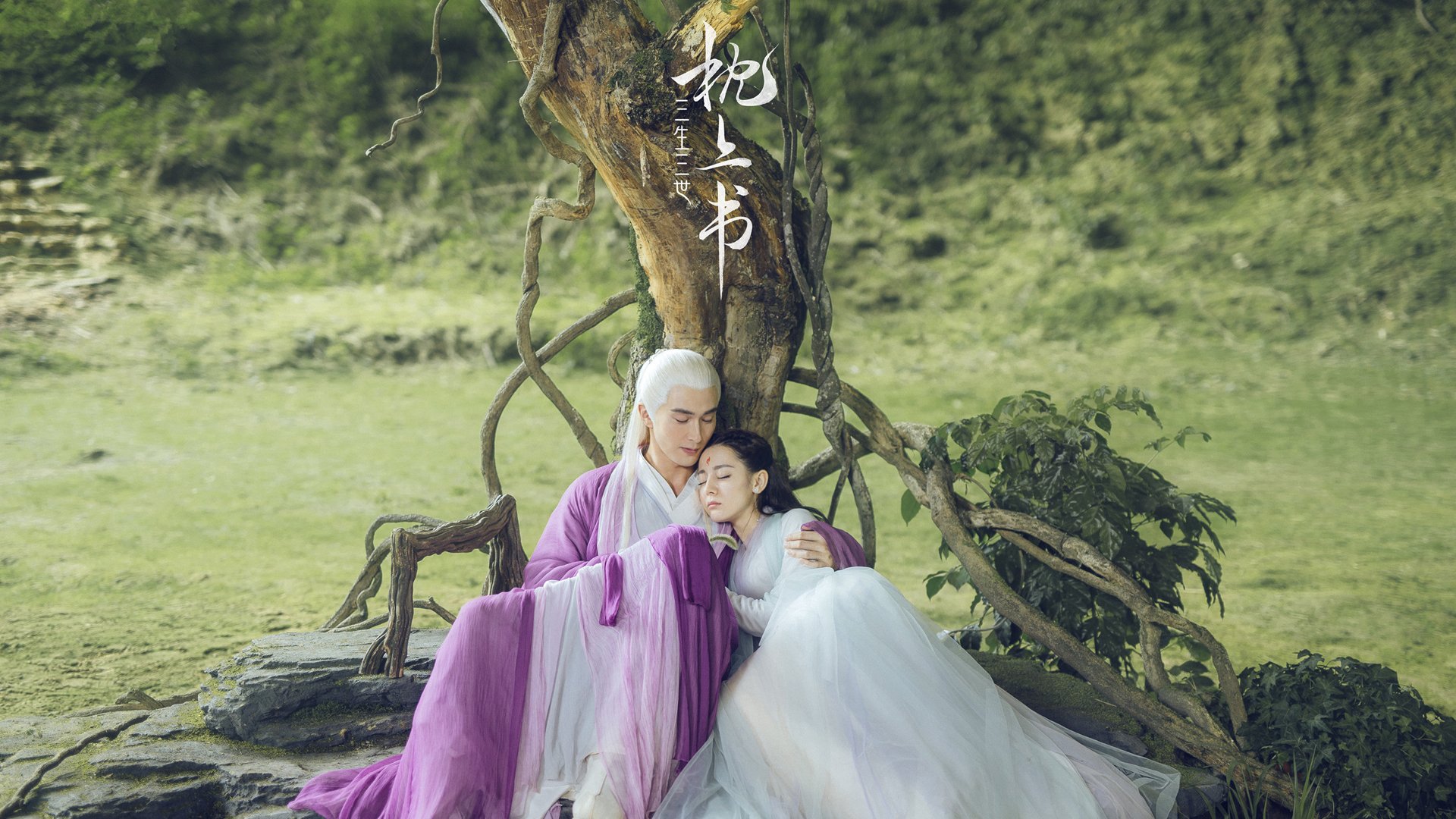 文班亚马进攻端肆虐无解，太阳队强势击溃骑士彰显实力