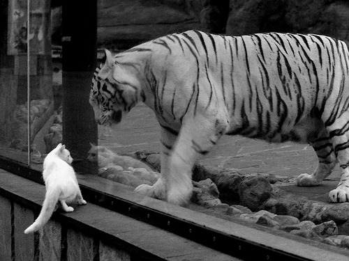 马克西关键制胜，开拓者单节拉开76人，一场逆转之战的激情演绎