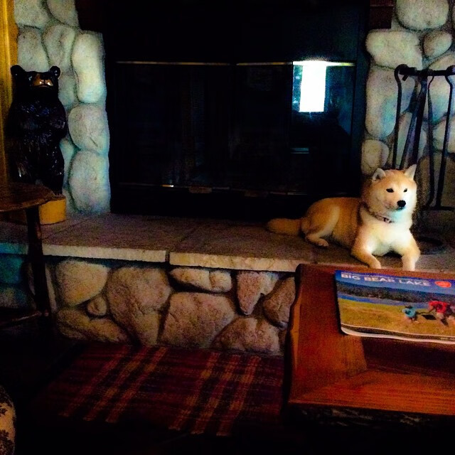 迪亚斯连击拉开分差，塞内加尔惊险取胜亚特兰大