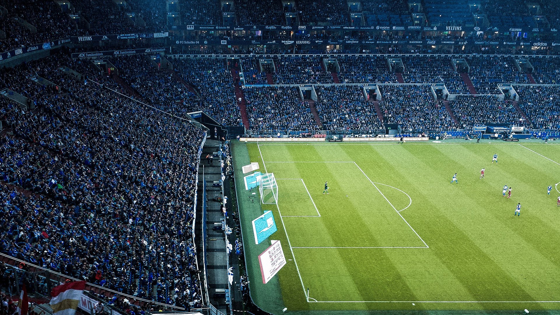 福克斯狂飙破天惊，黑马掀翻夺冠热门背后，是冰冷数据的震撼真相