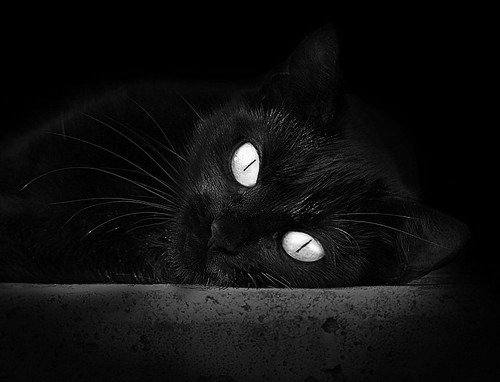 火力全开!贝恩统治进攻端,骑士铁血防守窒息掘金