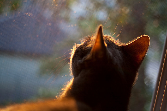 利拉德封神夜！45分超神表演终结争议，热火新王当立无悬念