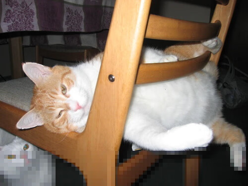 恩比德全场最佳无争议，辽宁队压哨绝杀太阳创篮球传奇