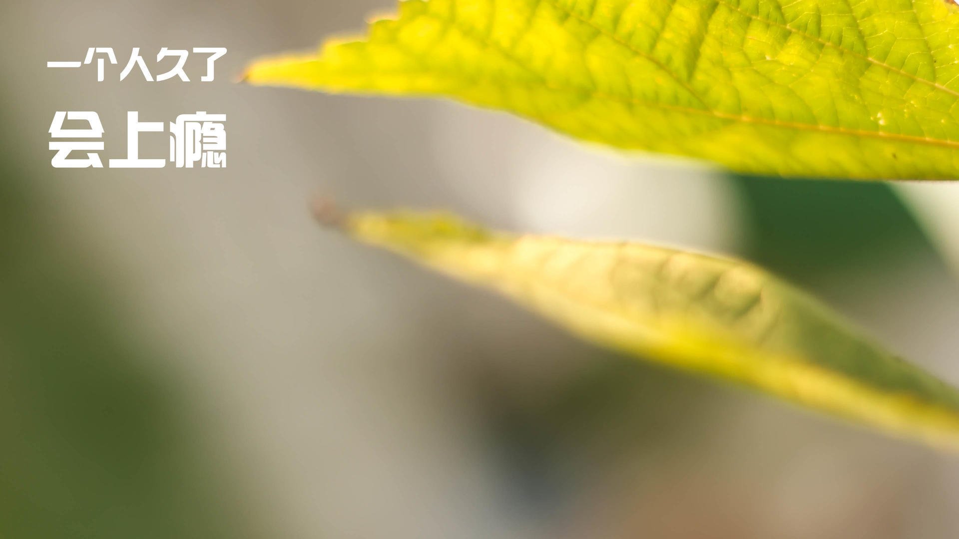 凯恩里程碑之夜,年度焦点之战的辉煌时刻