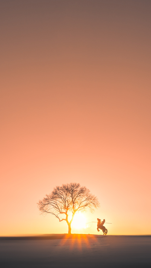 洛杉矶双雄决战达拉斯,爱德华兹死神时刻撕裂僵局