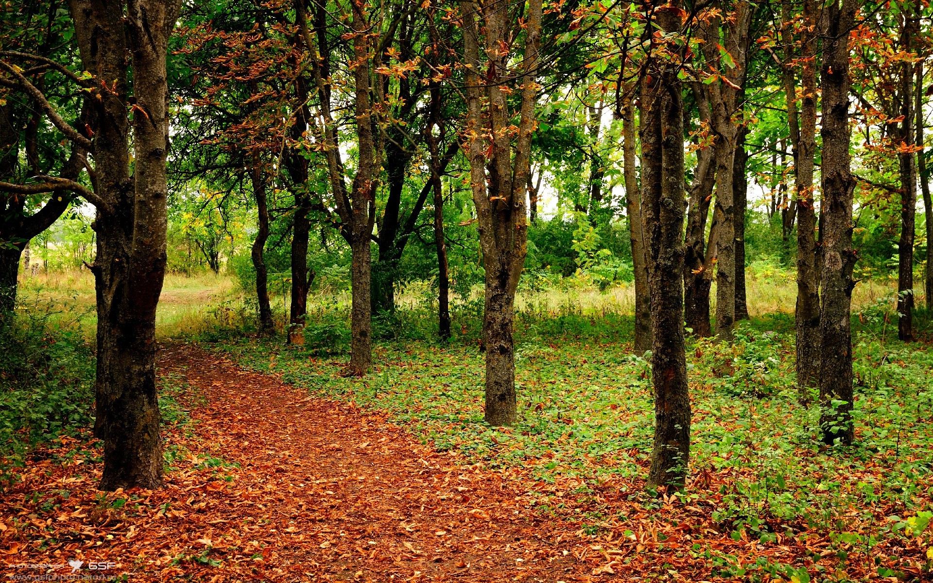 绝境重生!葡萄牙史诗逆转智利,关键先生克瓦拉茨赫利亚闪耀全场