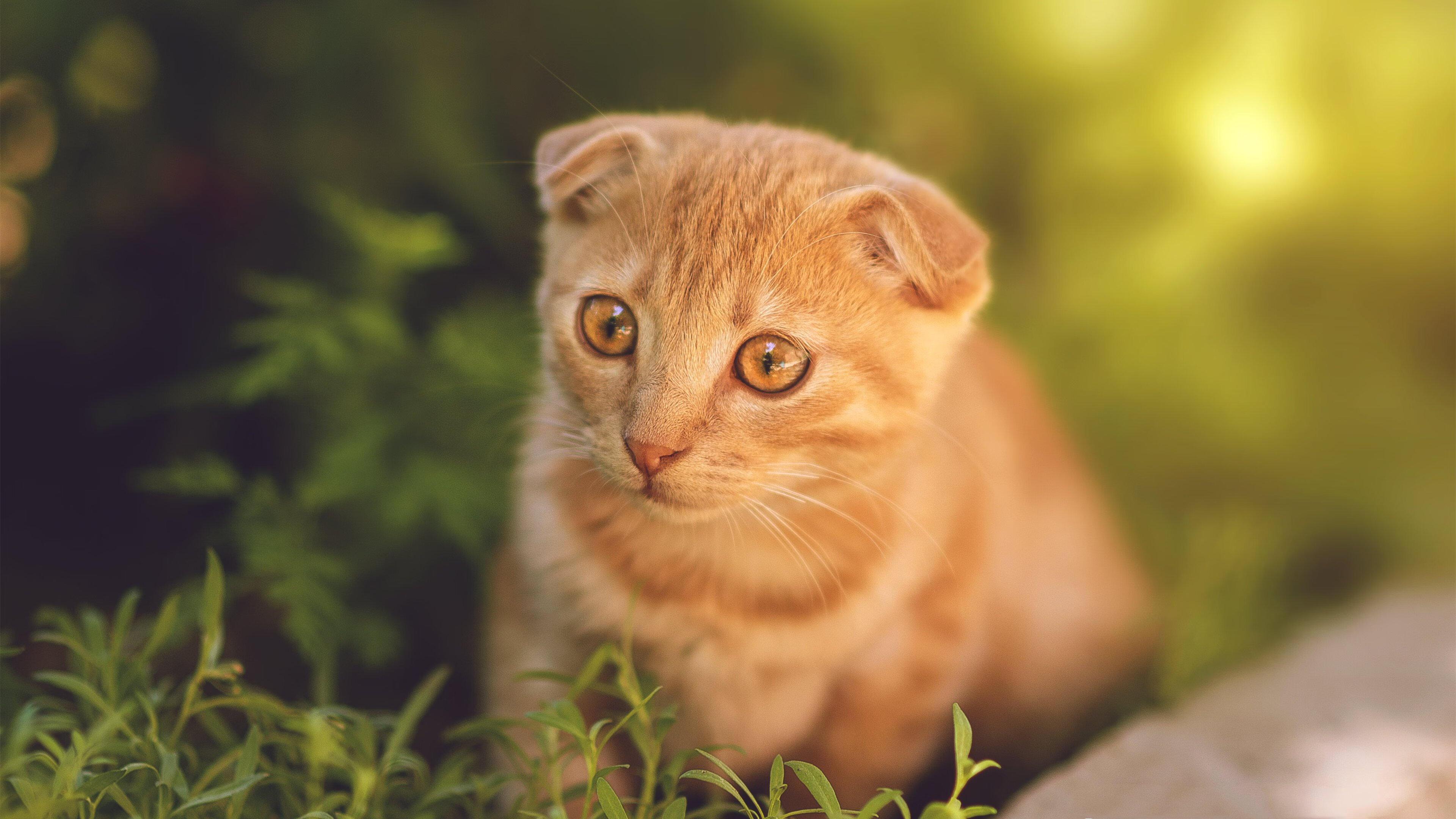 英格拉姆，无声刺客，在步行者与76人的鏖战中编织攻防统治