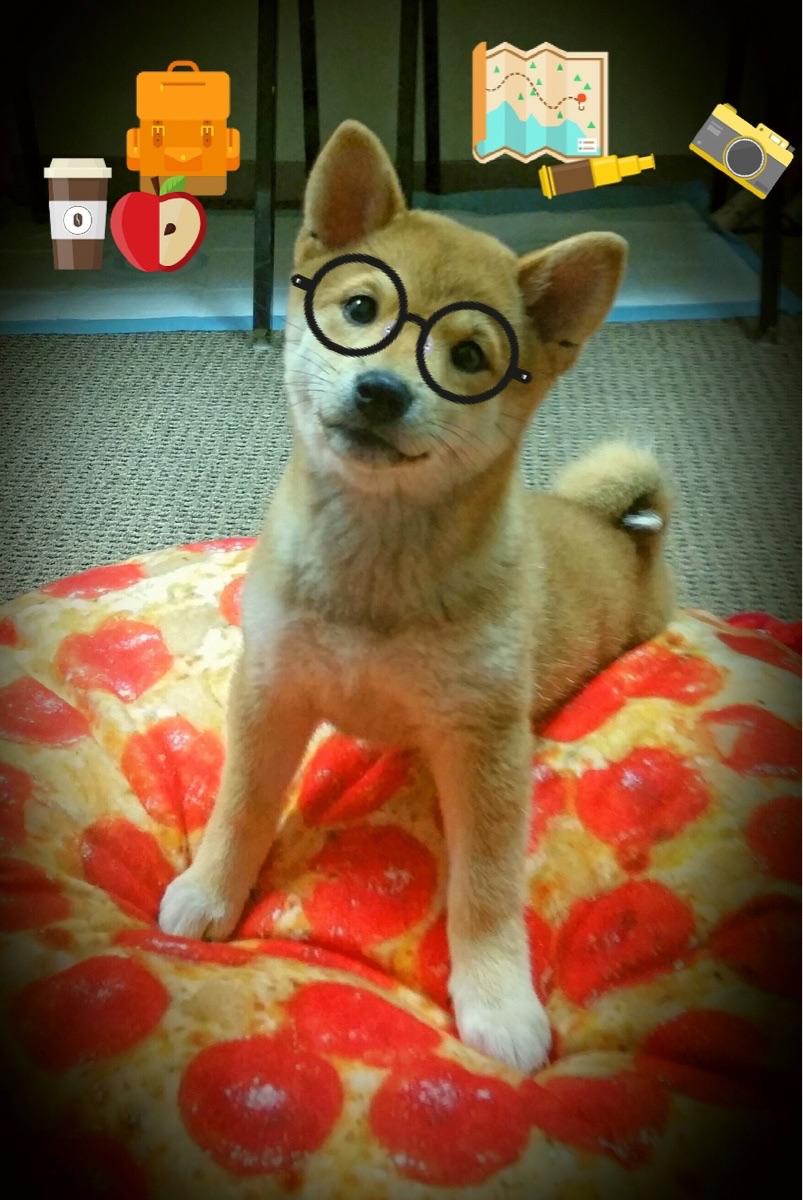 湖人压制太阳，德罗赞关键先生闪耀